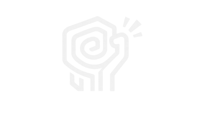 System HIIT Logo